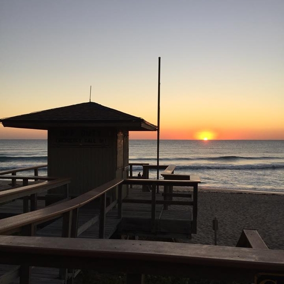 Meet your Posher, Judy - Picture 1 of 1